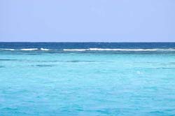Providencia reef - Vincent Berthet